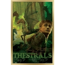 Harry Potter and the Order of the Phoenix - Thestrals Wall Poster, 22.375" x 34", Framed