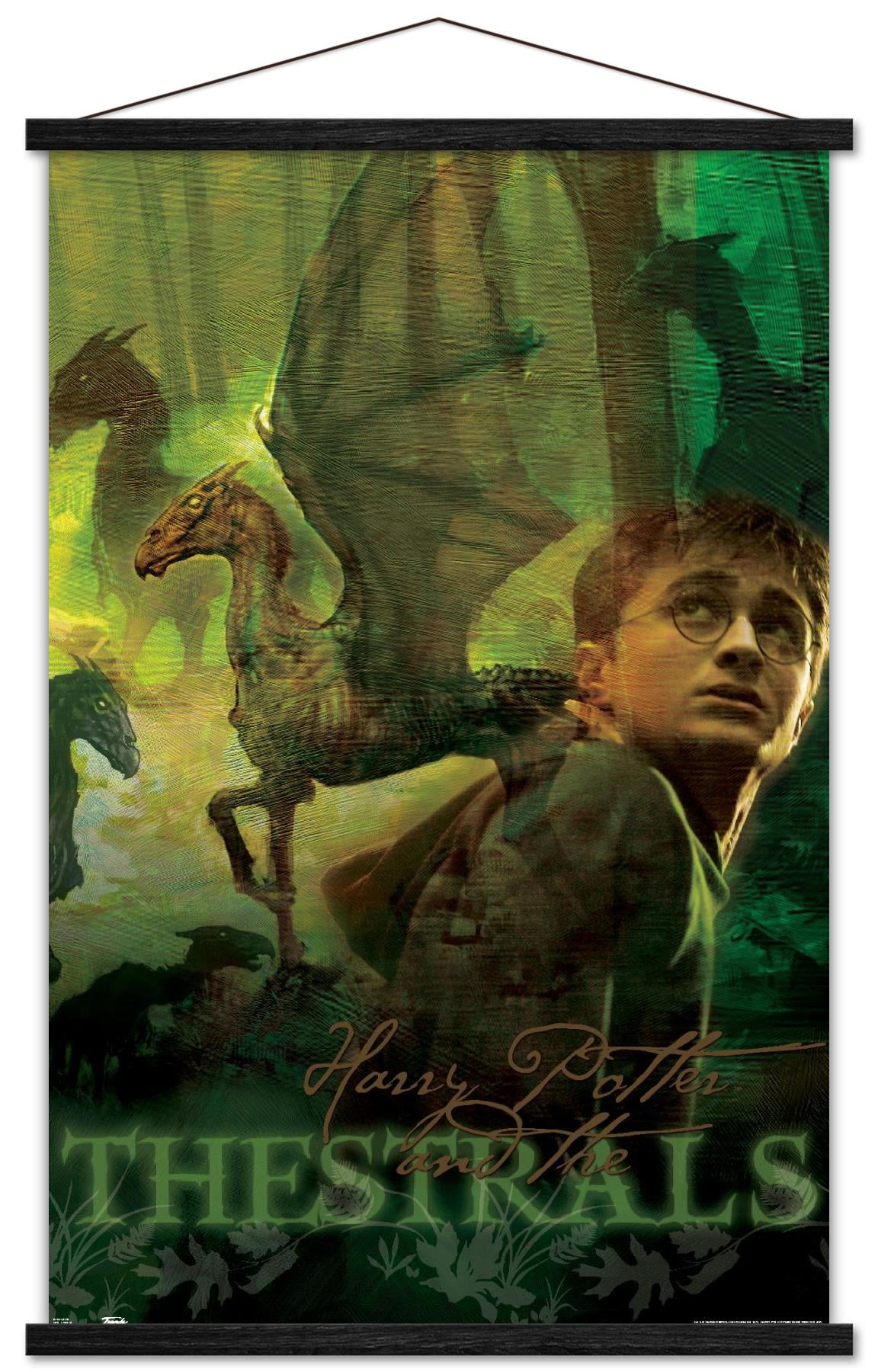 Harry Potter and the Order of the Phoenix - Thestrals Wall Poster with Wooden Magnetic Frame, 22.375" x 34"