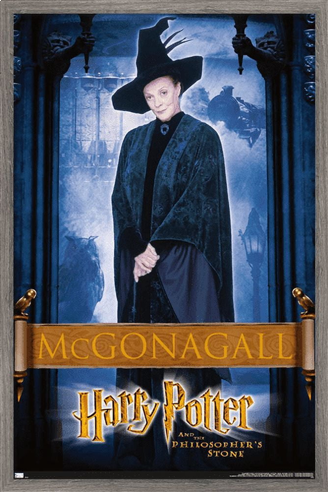 Harry Potter and the Philosopher's Stone - McGonagall Wall Poster, 14.725" x 22.375", Framed