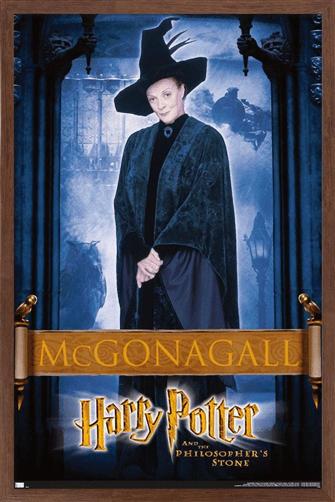 Harry Potter and the Philosopher's Stone - McGonagall Wall Poster, 22.375" x 34", Framed