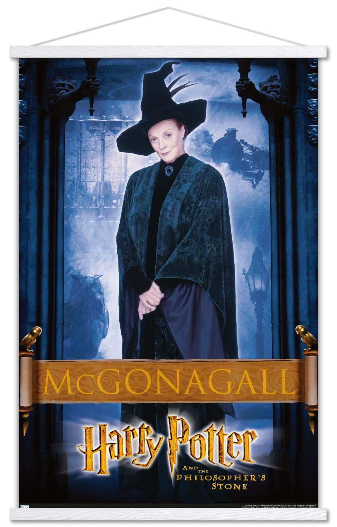 Harry Potter and the Philosopher's Stone - McGonagall Wall Poster with  Wooden Magnetic Frame, 22.375\, image size:1152x1800