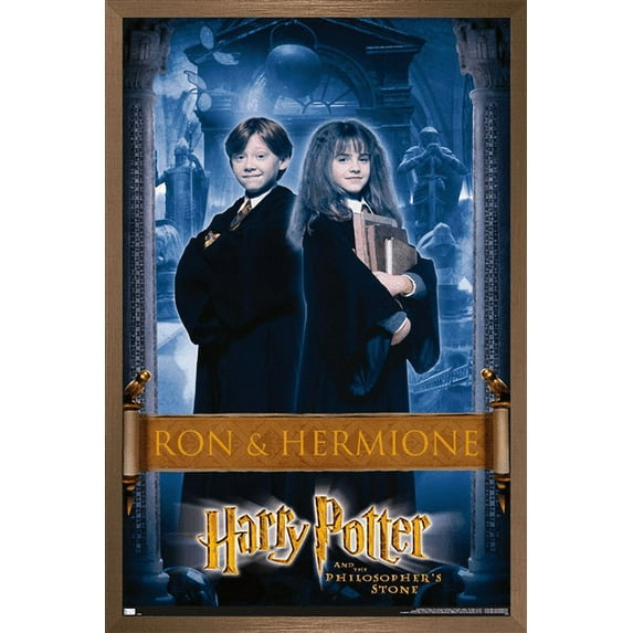 Harry Potter and the Philosopher's Stone - Ron & Hermione Wall Poster, 14.725" x 22.375", Framed