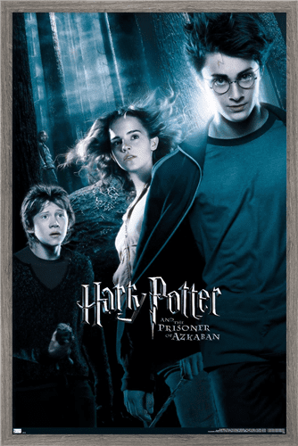 Harry Potter and the Prisoner of Azkaban - Forest One Sheet Wall Poster, 14.725" x 22.375", Framed