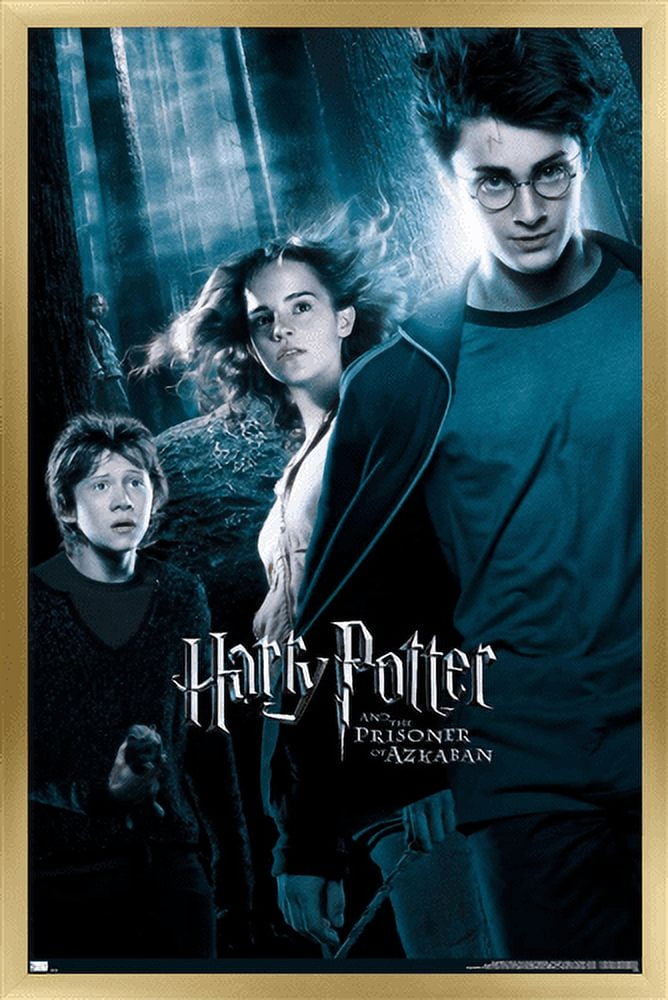Harry Potter and the Prisoner of Azkaban - Forest One Sheet Wall Poster, 22.375" x 34", Framed
