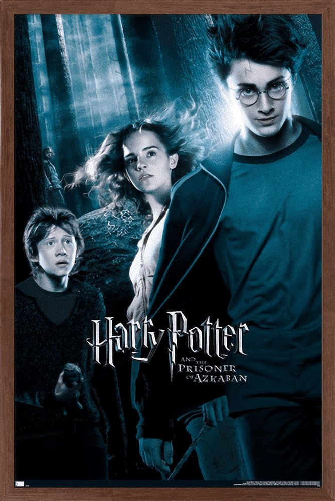 Harry Potter and the Prisoner of Azkaban - Forest One Sheet Wall Poster, 22.375" x 34", Framed