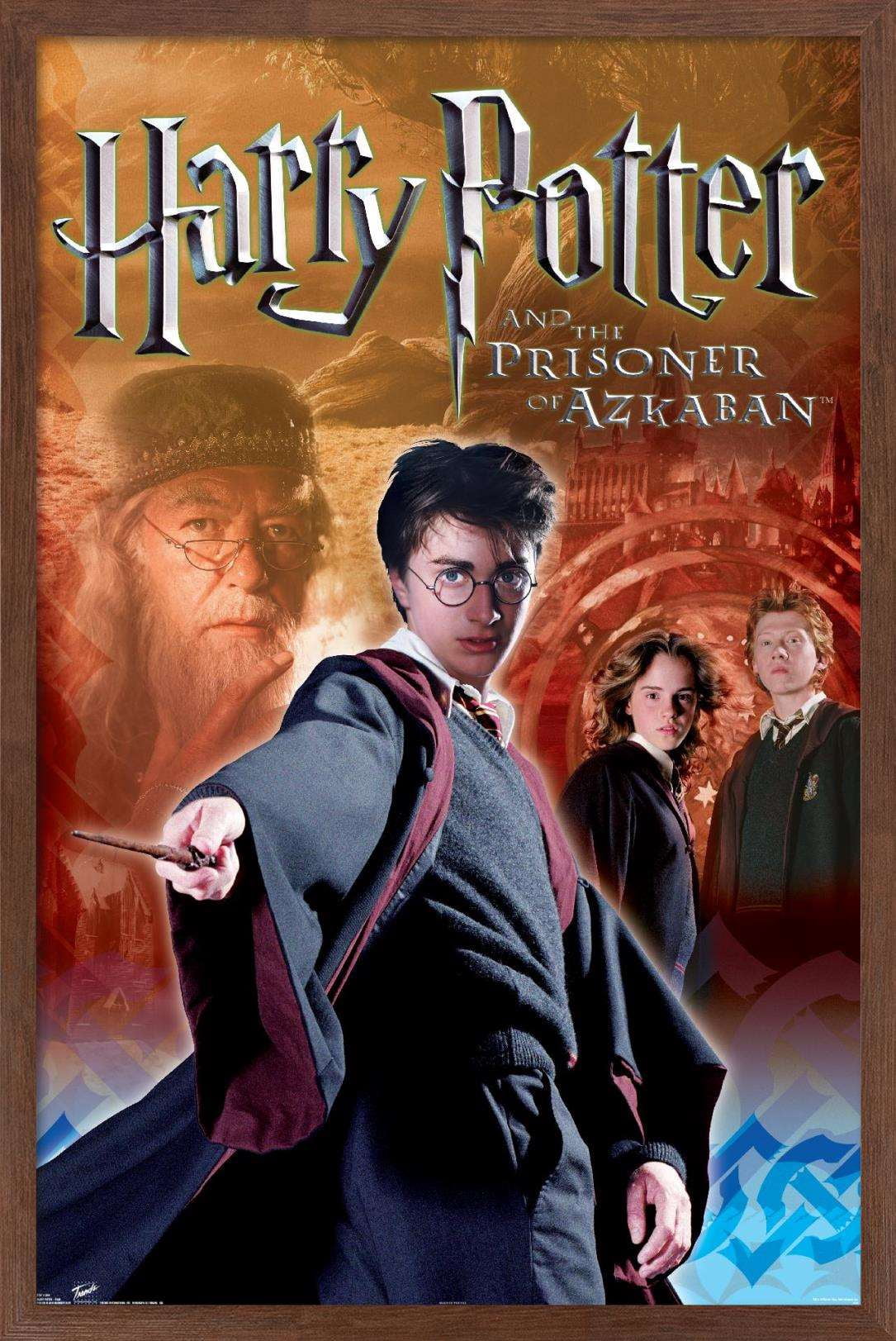 Harry Potter and the Prisoner of Azkaban - Team Wall Poster, 14.725" x 22.375", Framed