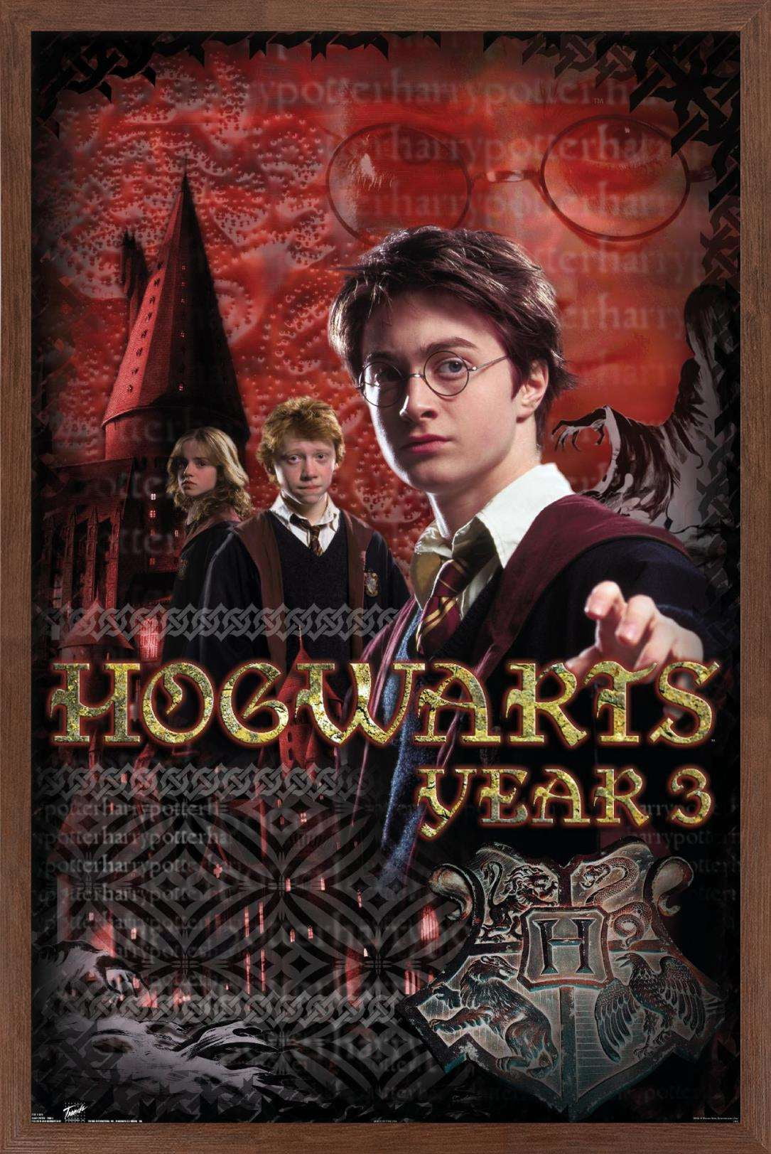 Harry Potter and the Prisoner of Azkaban - Year 3 Wall Poster, 14.725" x 22.375", Framed