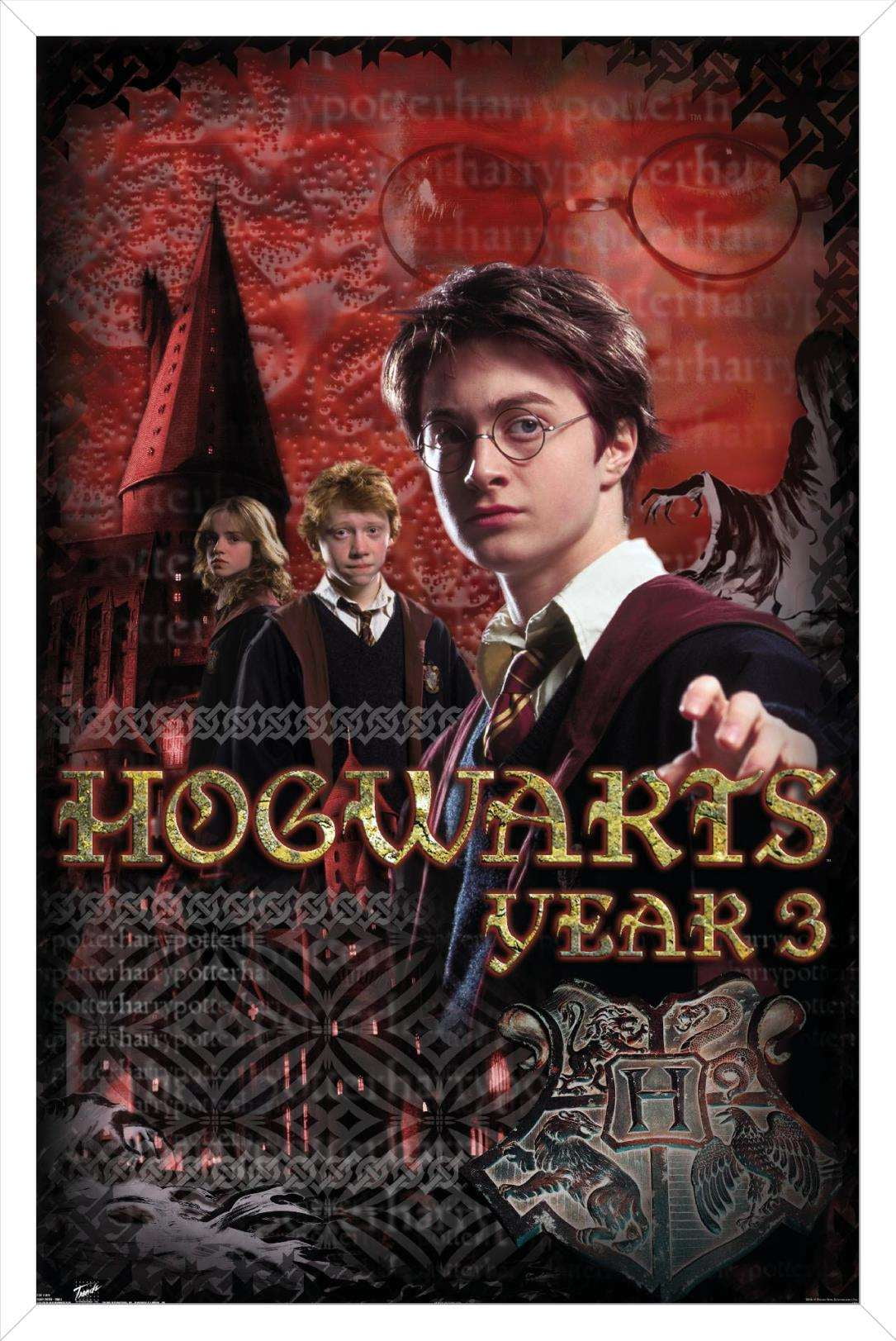 Harry Potter Poster Book: Hogwart's Through The Years