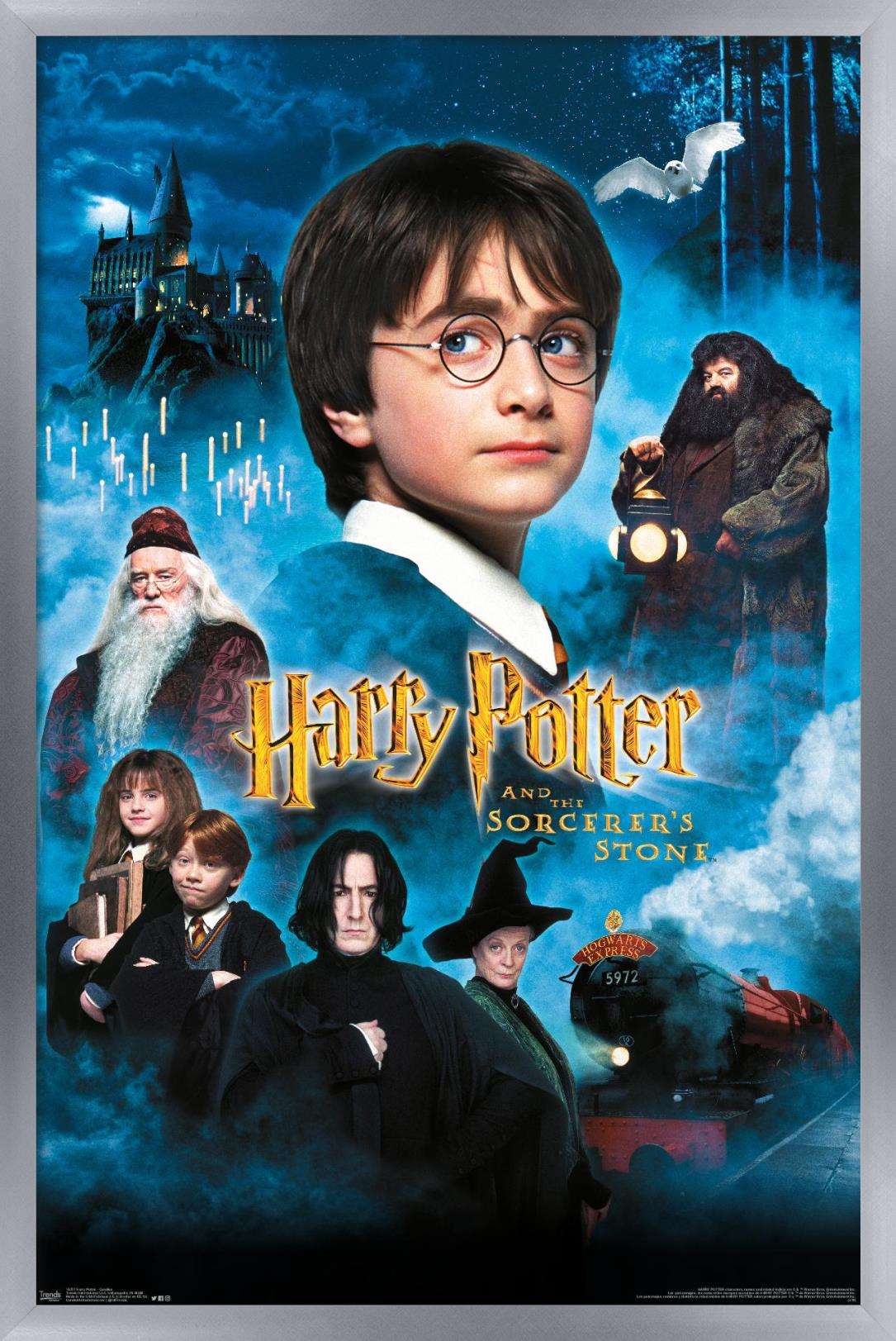 Harry Potter and the Sorcerer's Stone - Candles One Sheet Wall Poster, 14.725" x 22.375", Framed