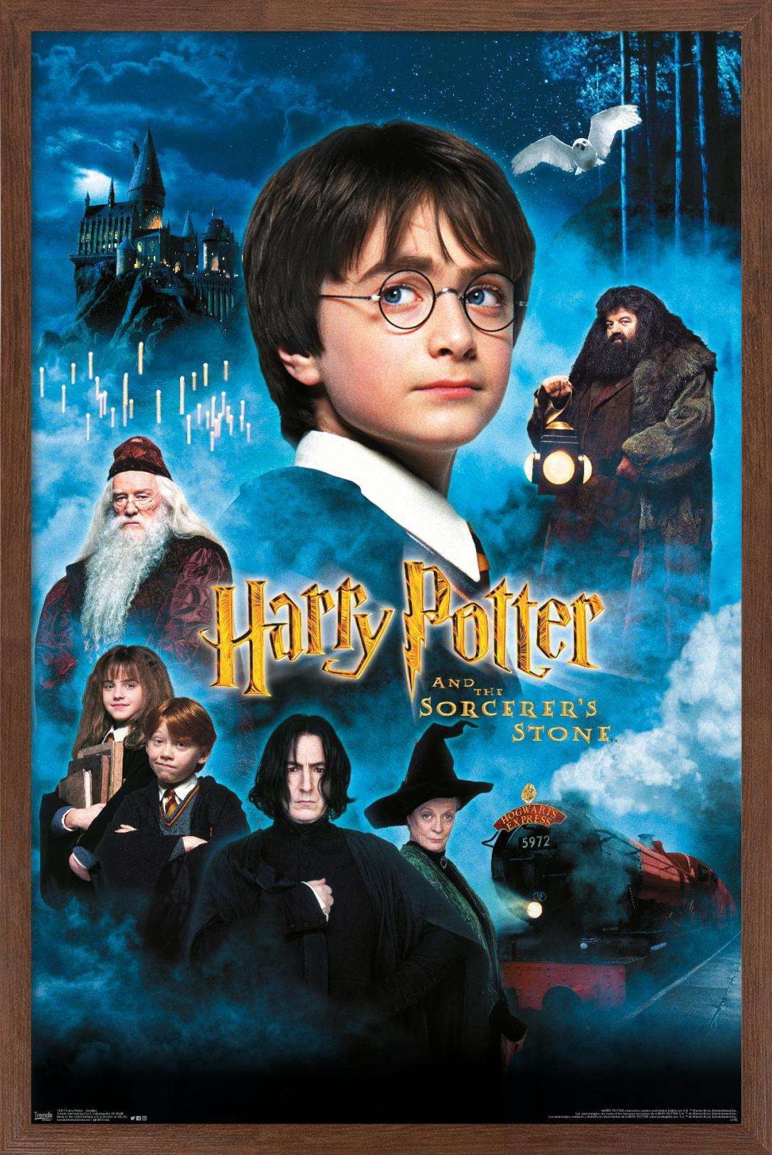 Harry Potter and the Sorcerer's Stone - Candles One Sheet Wall Poster, 14.725" x 22.375", Framed