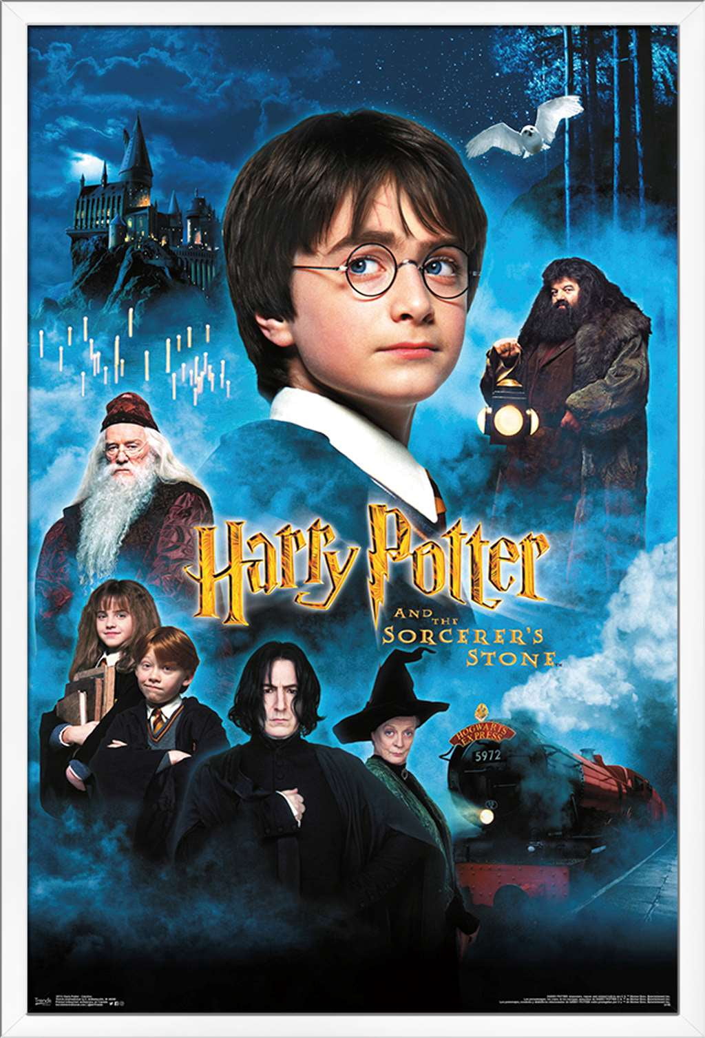 Harry Potter and the Sorcerer's Stone - Candles One Sheet Wall Poster, 22.375" x 34", Framed