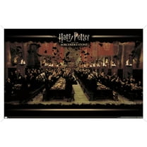 Harry Potter and the Sorcerer's Stone - Celebration Wall Poster, 14.725" x 22.375", Framed