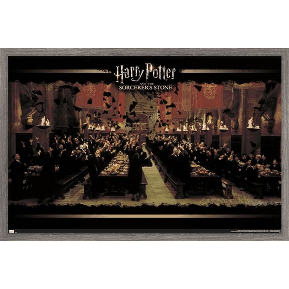 Harry Potter and the Sorcerer's Stone - Celebration Wall Poster, 14.725" x 22.375", Framed