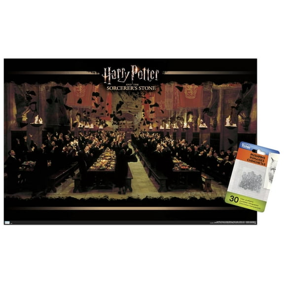 Harry Potter and the Sorcerer's Stone - Celebration Wall Poster with Pushpins, 14.725" x 22.375"