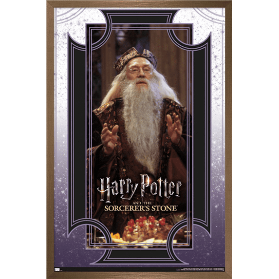 Harry Potter and the Sorcerer's Stone - Dumbledore Wise Wall Poster, 14.725" x 22.375", Framed
