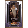 thumbnail image 1 of Harry Potter and the Sorcerer's Stone - Dumbledore Wise Wall Poster, 22.375" x 34", Framed, 1 of 3