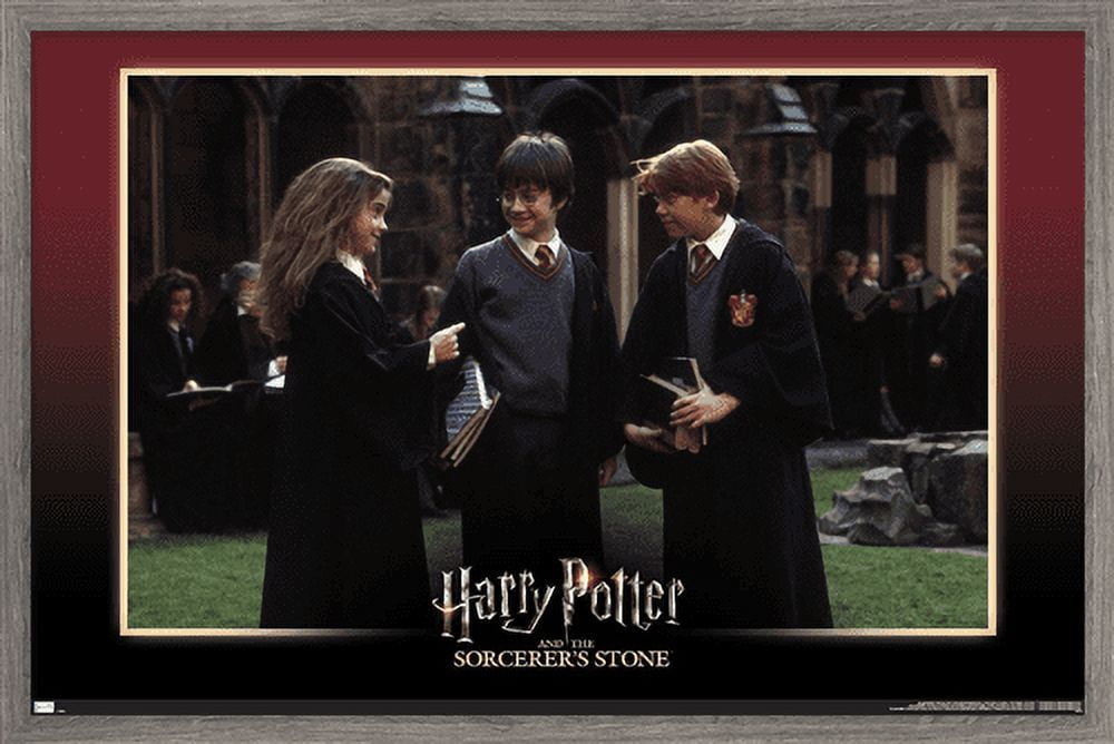 Harry Potter and the Sorcerer's Stone - Friends Wall Poster, 14.725" x 22.375", Framed