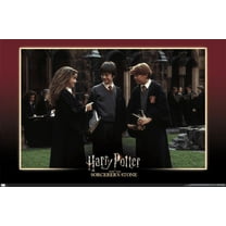 Harry Potter and the Sorcerer's Stone - Friends Wall Poster, 22.375" x 34"