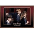 thumbnail image 1 of Harry Potter and the Sorcerer's Stone - Group Wall Poster, 14.725" x 22.375", Framed, 1 of 3
