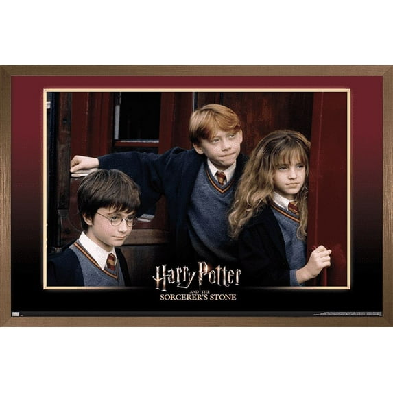 Harry Potter and the Sorcerer's Stone - Group Wall Poster, 22.375" x 34", Framed
