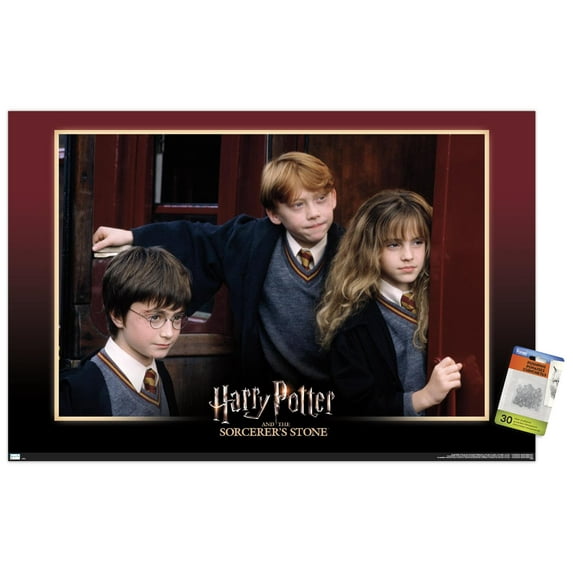 Harry Potter and the Sorcerer's Stone - Group Wall Poster with Pushpins, 22.375" x 34"