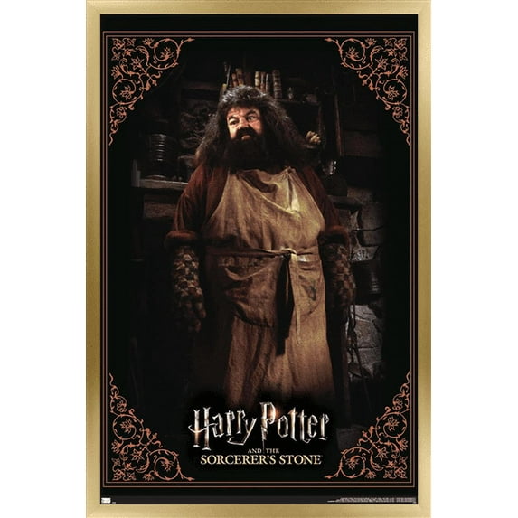 Harry Potter and the Sorcerer's Stone - Hagrid Cooking Wall Poster, 14.725" x 22.375", Framed