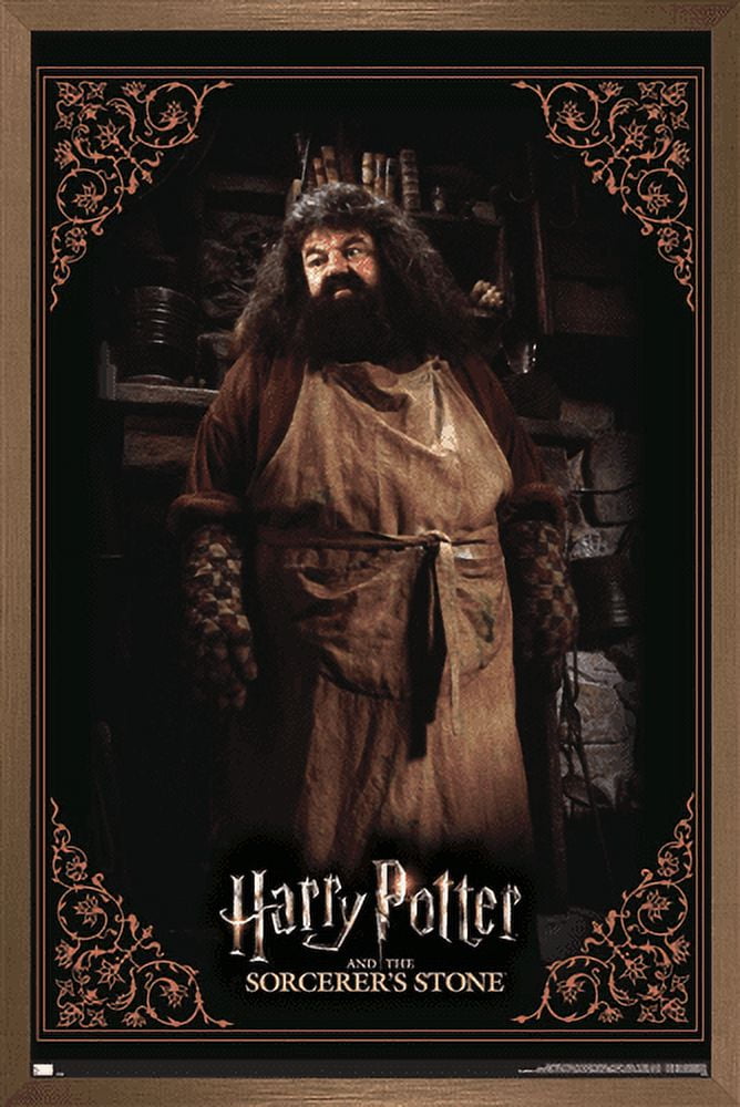 Harry Potter and the Sorcerer's Stone - Hagrid Cooking Wall Poster, 14.725" x 22.375", Framed