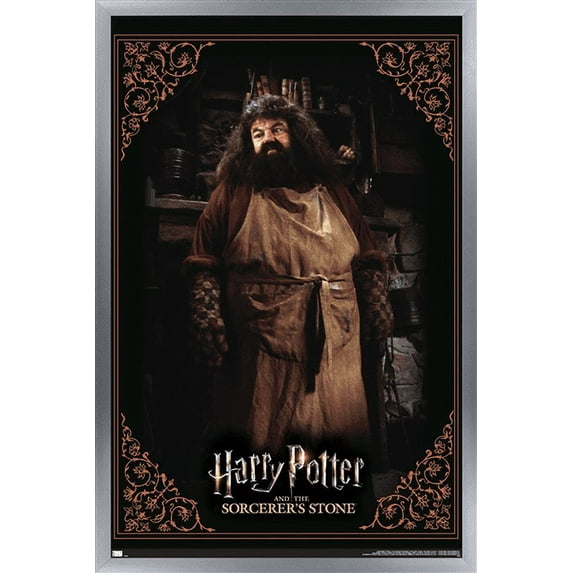 Harry Potter and the Sorcerer's Stone - Hagrid Cooking Wall Poster, 22.375" x 34", Framed