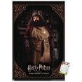thumbnail image 1 of Harry Potter and the Sorcerer's Stone - Hagrid Cooking Wall Poster, 22.375" x 34", 1 of 6