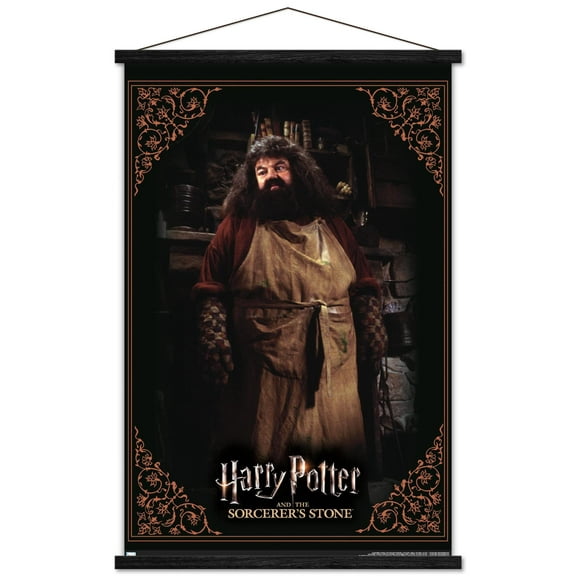 Harry Potter and the Sorcerer's Stone - Hagrid Cooking Wall Poster with Wooden Magnetic Frame, 22.375" x 34"