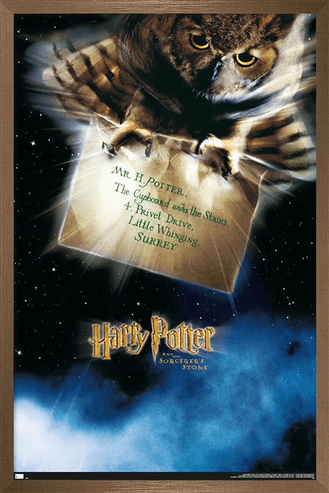 Harry Potter and the Sorcerer's Stone - Owl One Sheet Wall Poster, 22.375" x 34", Framed