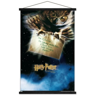 The Wizarding World: Harry Potter - Ravenclaw Illustrated House Logo Wall  Poster with Wooden Magnetic Frame, 22.375 x 34 