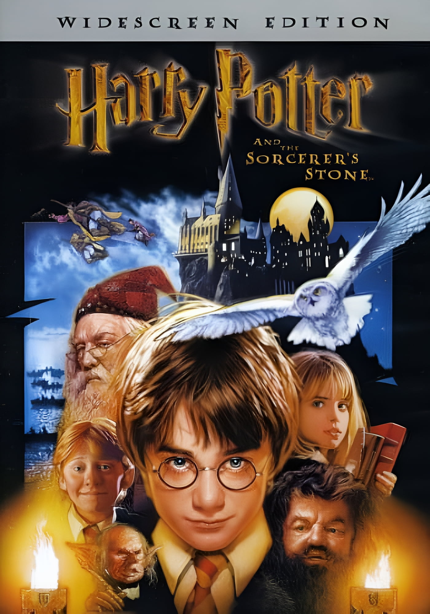 Harry Potter the Sorcerer's Stone (DVD)