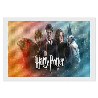 Harry Potter Diamond Painting Kits for Adults,Diamond Painting DIY 5D Full  Drill Diamond Art Kit for Adults Beginner, Diamond Dots Painting Craft for  Home Wall Decor 12x16 Inch 