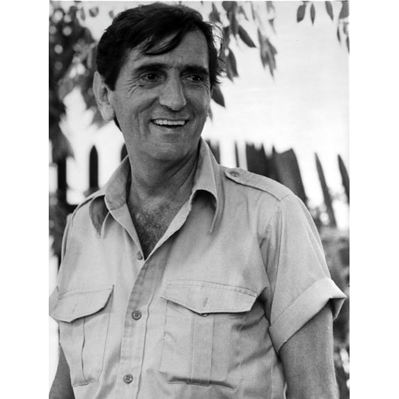 Harry Stanton wearing a polo shirt outdoors Photo Print (24 x 30)