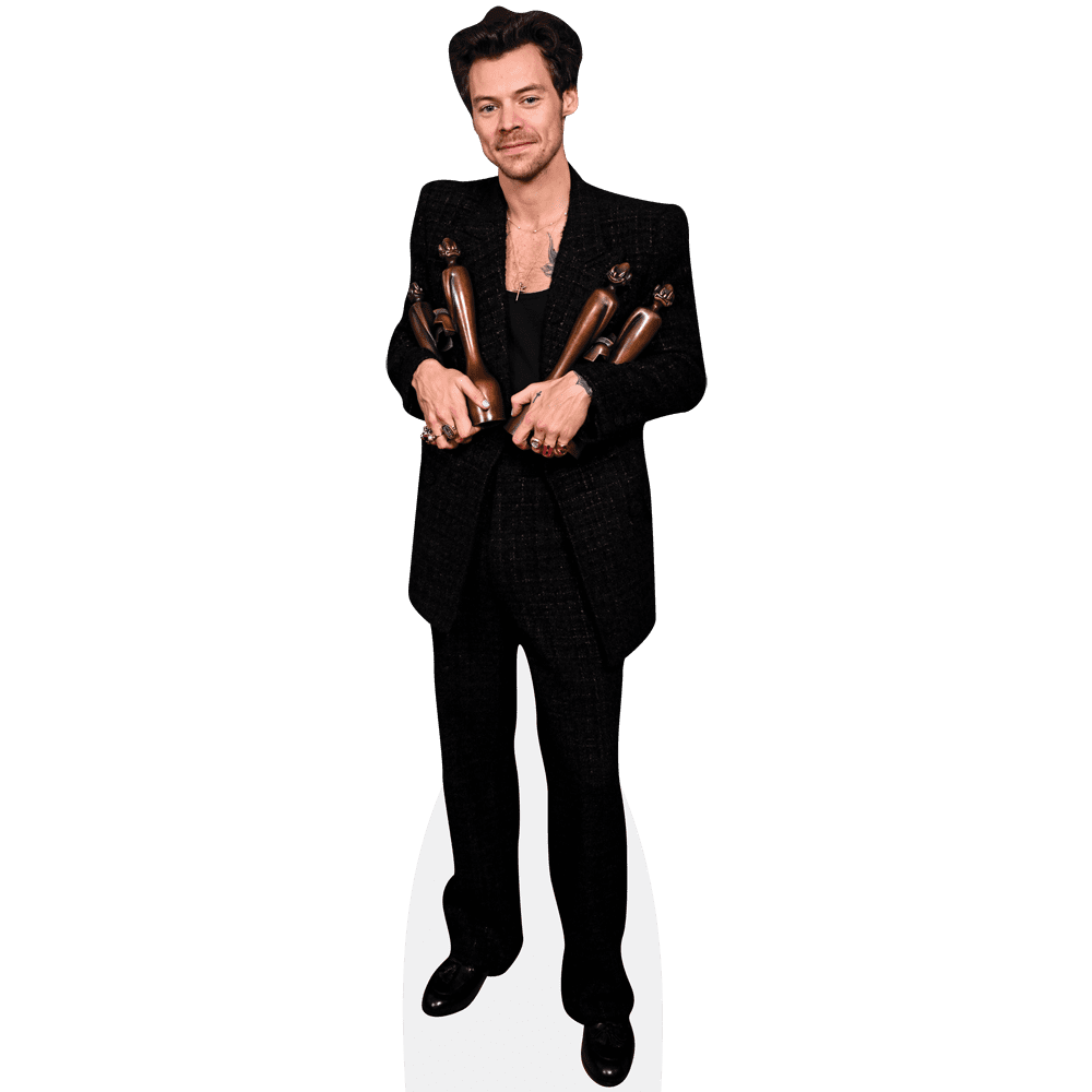 Harry Styles (Awards) Lifesize Cardboard Cutout Standee
