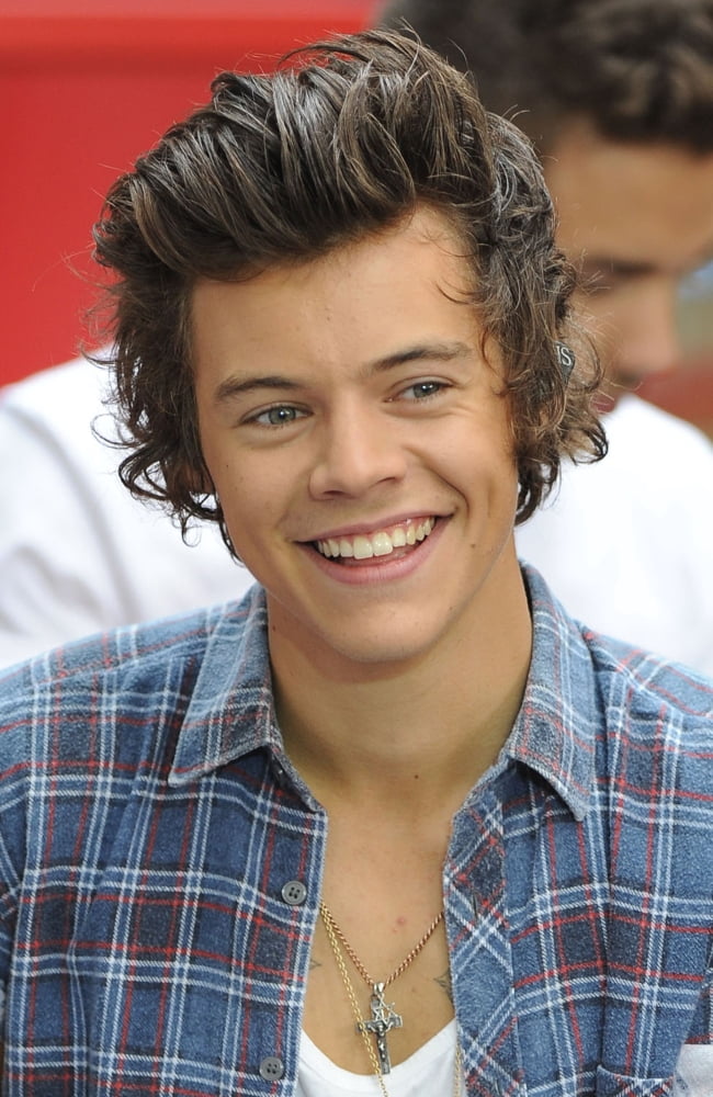 Harry Styles On Stage For Nbc Today Show Concert With One Direction Canvas Art - (16 x 20)