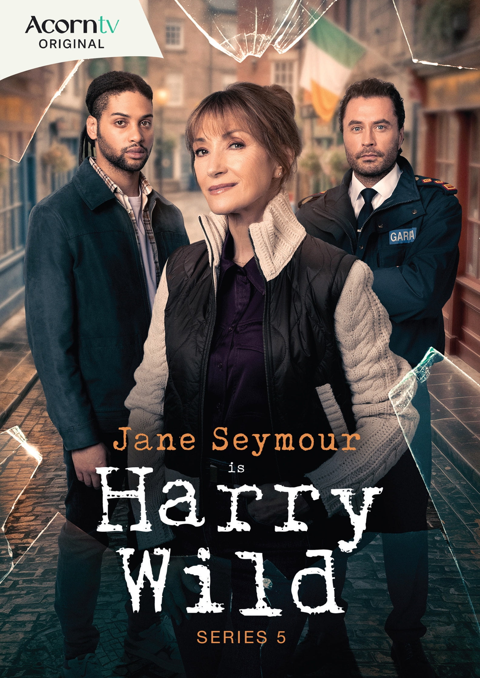 Harry Wild: Series 5 (DVD), Mystery, AMC
