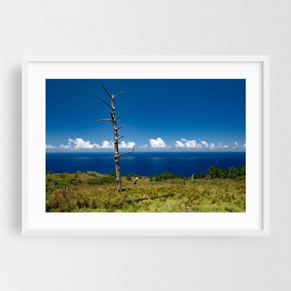 Image showcasing Harsh Nature - Photography Landscape Ocean Nature Coastal Minimalist Scenic Seascape White ...