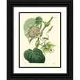 thumbnail image 1 of Hart, M. 15x18 Black Ornate Wood Framed with Double Matting Museum Art Print Titled - Small Antique Passion Flower I, 1 of 4