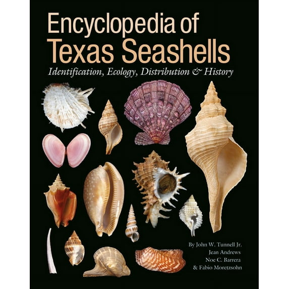 Harte Research Institute for Gulf of Mexico Studies Series, Sponsored by the Harte Research Institute for Gulf of Mexico Studies, Texas A&M University-Corpus Christi: Encyclopedia of Texas Seashells : Identification, Ecology, Distribution, and History (Hardcover)
