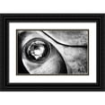 thumbnail image 1 of Hartlieb, Jurgen 32x21 Black Ornate Wood Framed with Double Matting Museum Art Print Titled - Dead Alfa R., 1 of 4