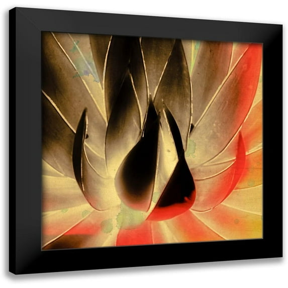 Hartson-Weddle, Ryan 12x12 Black Modern Framed Museum Art Print Titled - Aloe in the Sun III