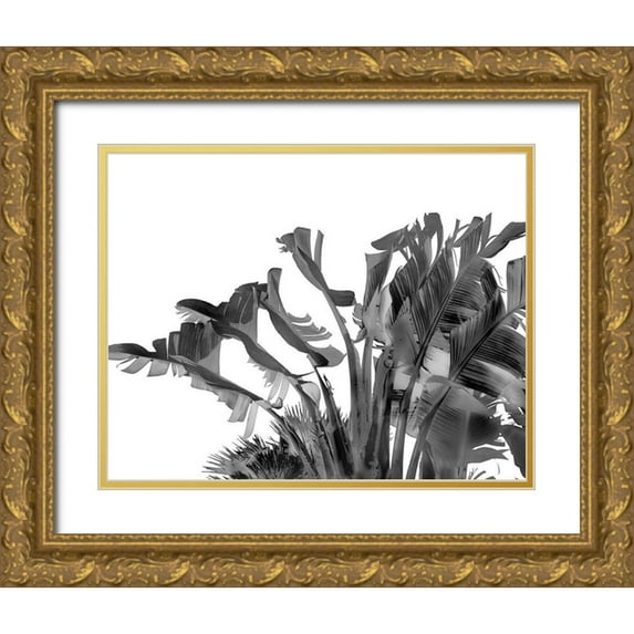 Hartson- Weddle, Ryan 24x20 Gold Ornate Wood Framed with Double Matting Museum Art Print Titled - Tropical Velvet II - BW