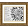 thumbnail image 1 of Hartson-Weddle, Ryan 32x25 Gold Ornate Wood Framed with Double Matting Museum Art Print Titled - Quiet Burst II, 1 of 4