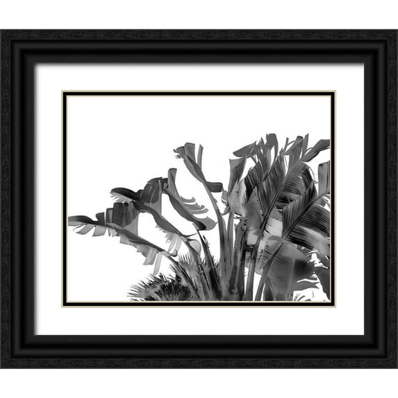 Hartson- Weddle, Ryan 32x26 Black Ornate Wood Framed with Double Matting Museum Art Print Titled - Tropical Velvet II - BW