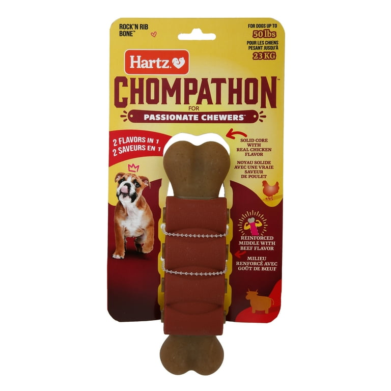 Hartz Chompanthon Rock N Rib Bone Tough Dog Chew Toy