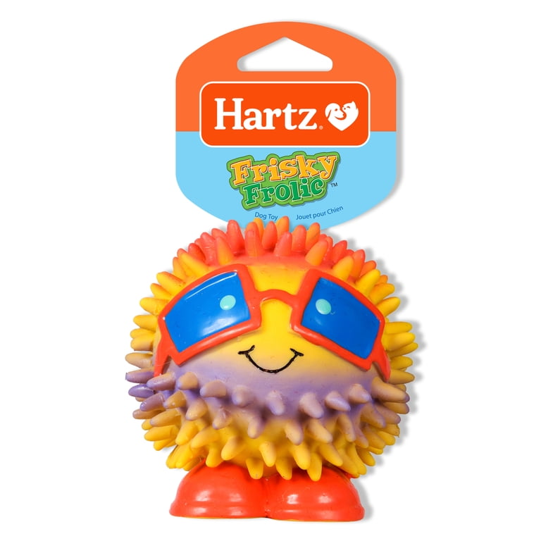Hartz Frisky Frolic Assorted Dog Toy (Toy may vary) - Walmart.com
