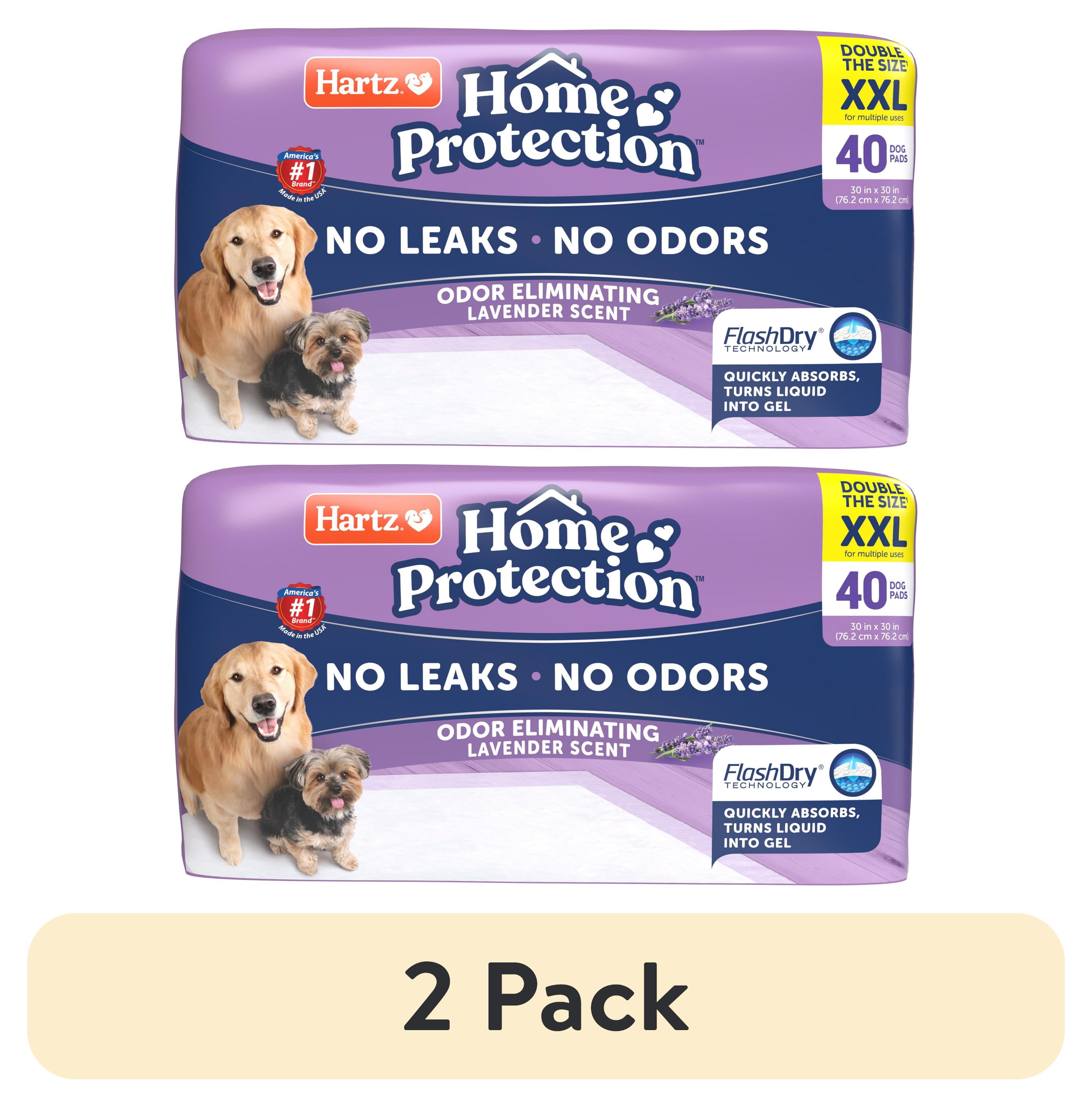 Dog pads walmart hot sale