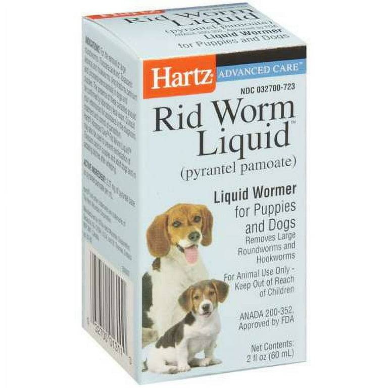 Worm treatment hotsell for dogs walmart